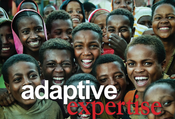 Adaptive Expertise